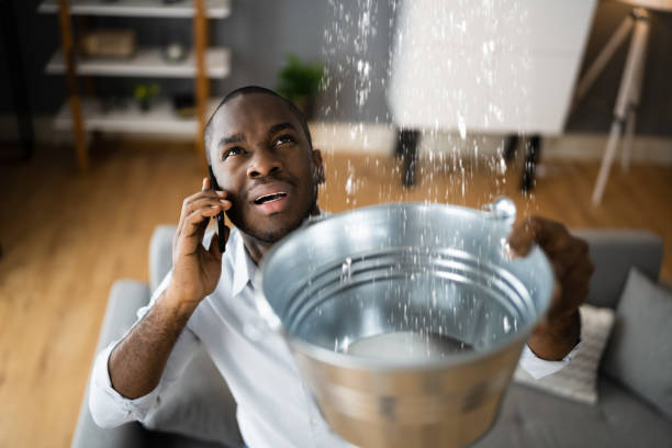 Best Carpet water damage restoration  in Penhook, VA