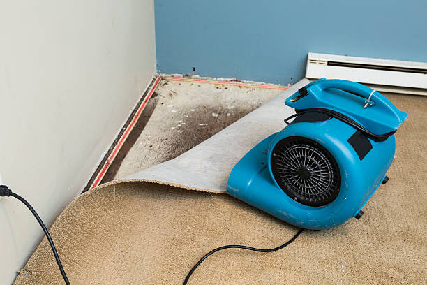 Best Flood damage cleanup  in Penhook, VA
